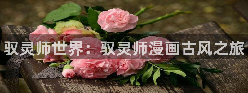 腐漫cc网
