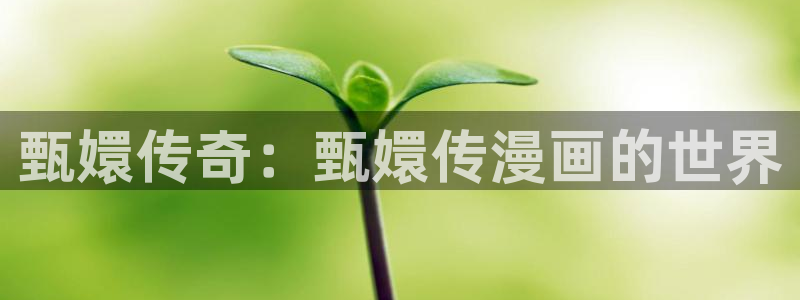 腐漫漫画网站：甄嬛传奇：甄嬛传漫画的世界
