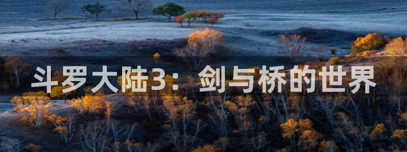腐漫友：斗罗大陆3：剑与桥的世界