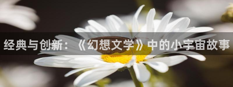 日本双男主腐漫：经典与创新：《幻想文学》中的小宇宙故事