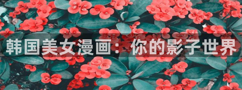 宅宅腐漫：韩国美女漫画：你的影子世界