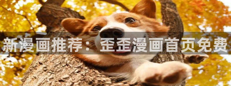 强制爱腐漫：新漫画推荐：歪歪漫画首页免费