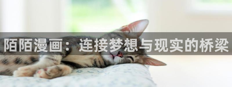 腐剧腐漫18：陌陌漫画：连接梦想与现实的桥梁