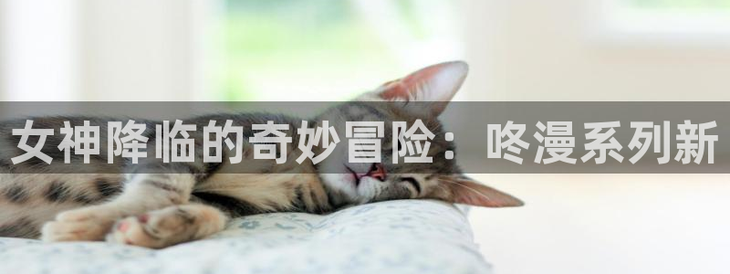腐漫画免费阅读：女神降临的奇妙冒险：咚漫系列新