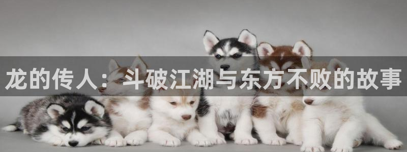 言情腐漫