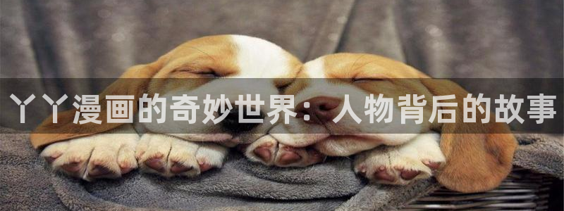 腐漫圈下载
