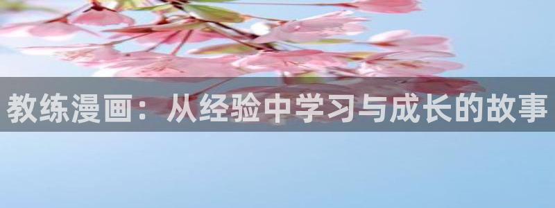腐漫是什么