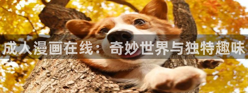日腐漫推荐