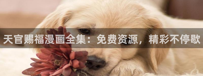 h腐漫：天官赐福漫画全集：免费资源，精彩不停歇