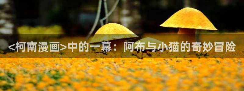 哪个app可以看腐漫：<柯南漫画>中的一幕：阿布与小猫的奇妙冒险