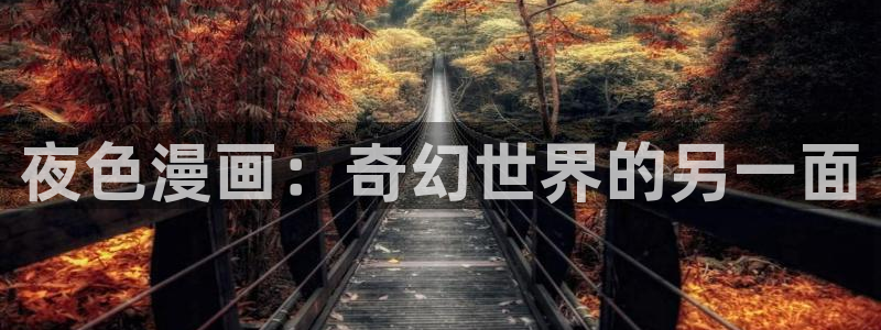 腐漫双男主动漫：夜色漫画：奇幻世界的另一面