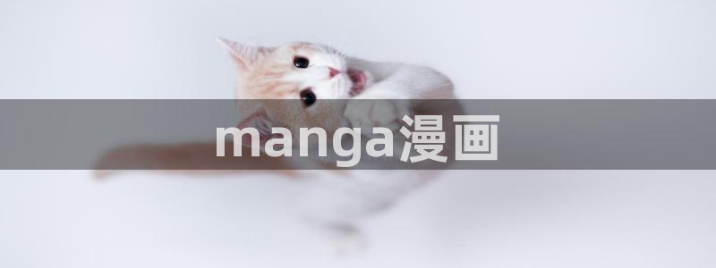 好看的日本腐漫：manga漫画