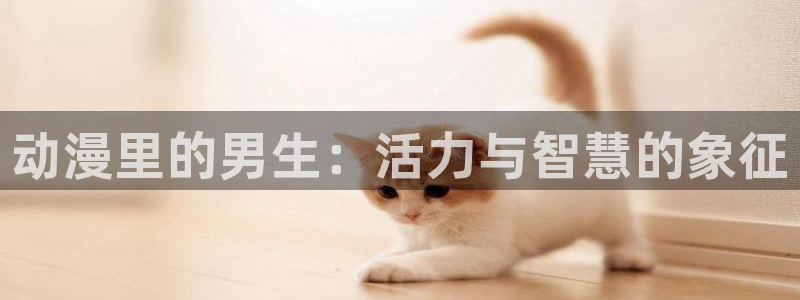 日漫腐漫：动漫里的男生：活力与智慧的象征