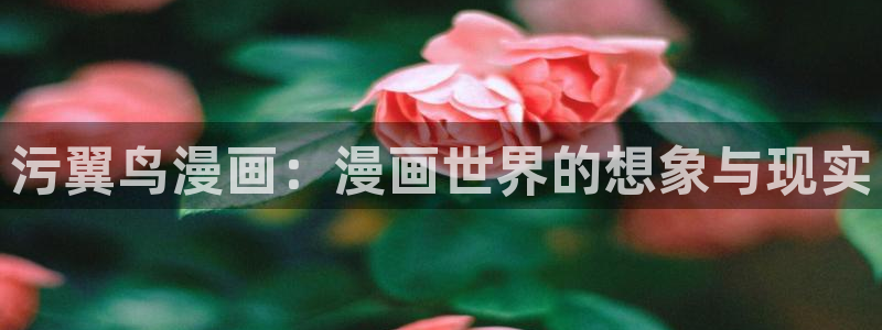 腐漫无遮挡：污翼鸟漫画：漫画世界的想象与现实