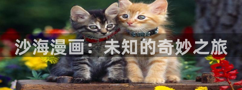 腐漫画免费看：沙海漫画：未知的奇妙之旅