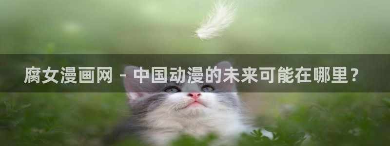 腐漫圈网站：腐女漫画网 - 中国动漫的未来可能在哪里？