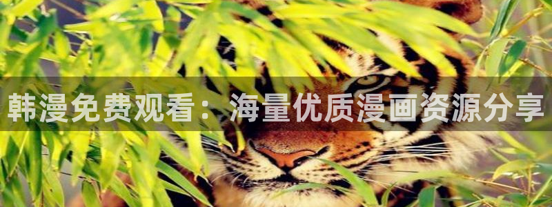 韩漫腐漫在线观看