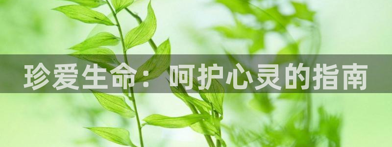 看腐漫