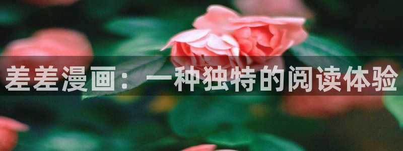 腐漫bl