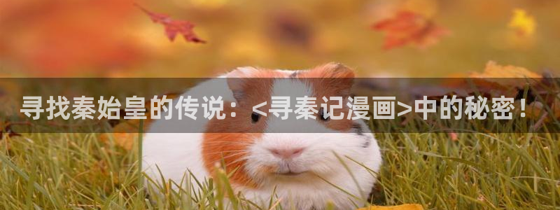 腐漫画官网巨人族的新娘：寻找秦始皇的传说：<寻秦记漫画>中的秘密！