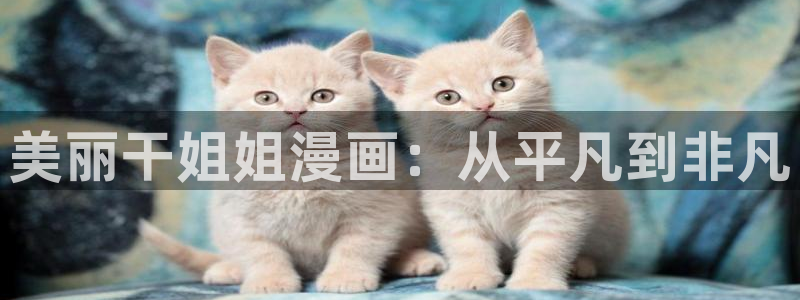 腐漫画网下载：美丽干姐姐漫画：从平凡到非凡