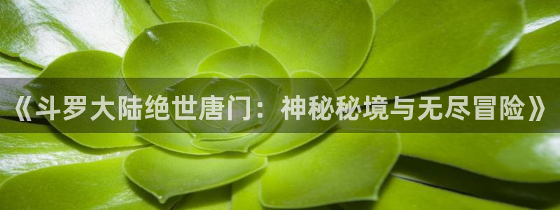 腐漫画网页：《斗罗大陆绝世唐门：神秘秘境与无尽冒险》